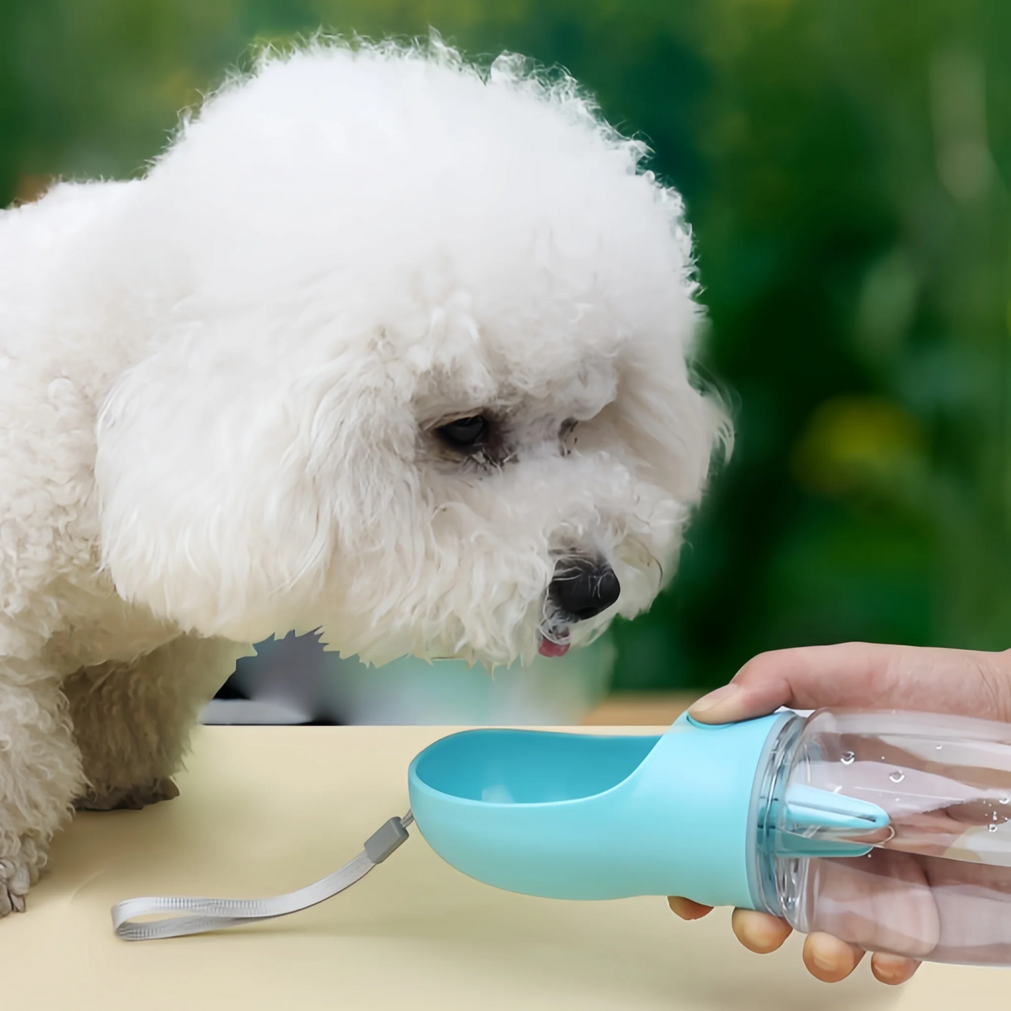 Gamelle transportable pour chien et chat