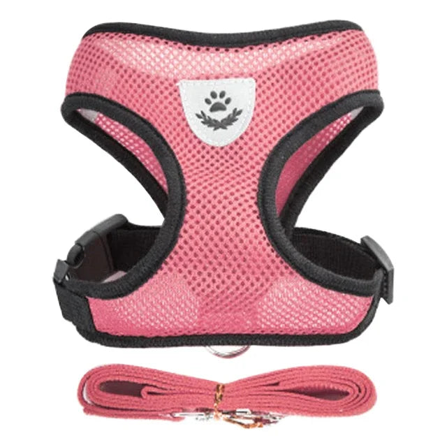 Harnais réglable respirante avec laisse pour chats et Chiots