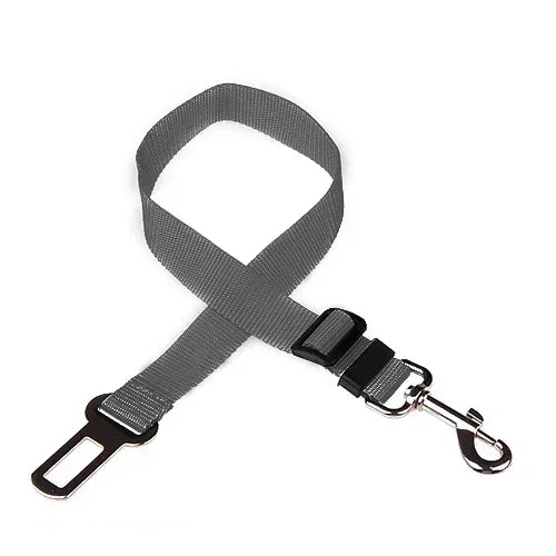 Ceinture de Sécurité pour Chien en Voiture