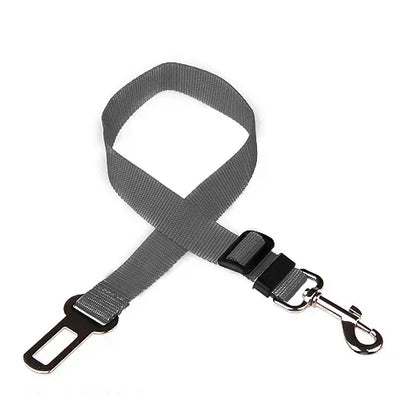 Ceinture de Sécurité pour Chien en Voiture
