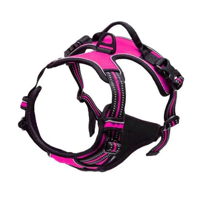 Harnais pour Chiens