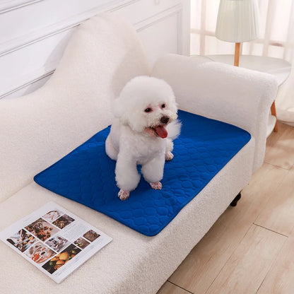 Tapis absorbant pour chiens et chats