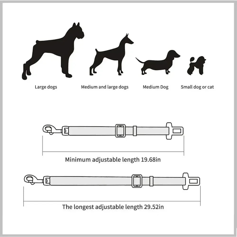 Ceinture de Sécurité pour Chien en Voiture