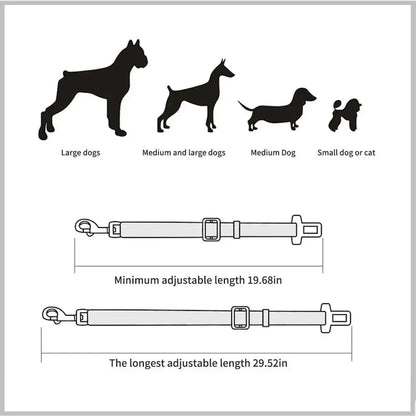 Ceinture de Sécurité pour Chien en Voiture