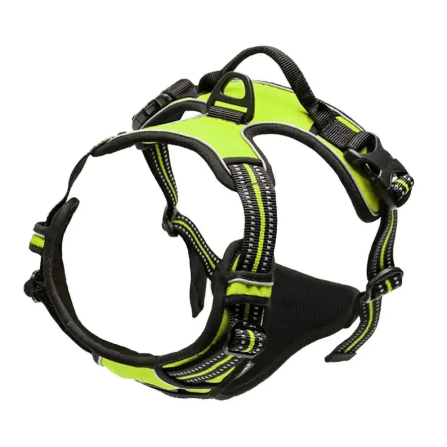 Harnais pour Chiens