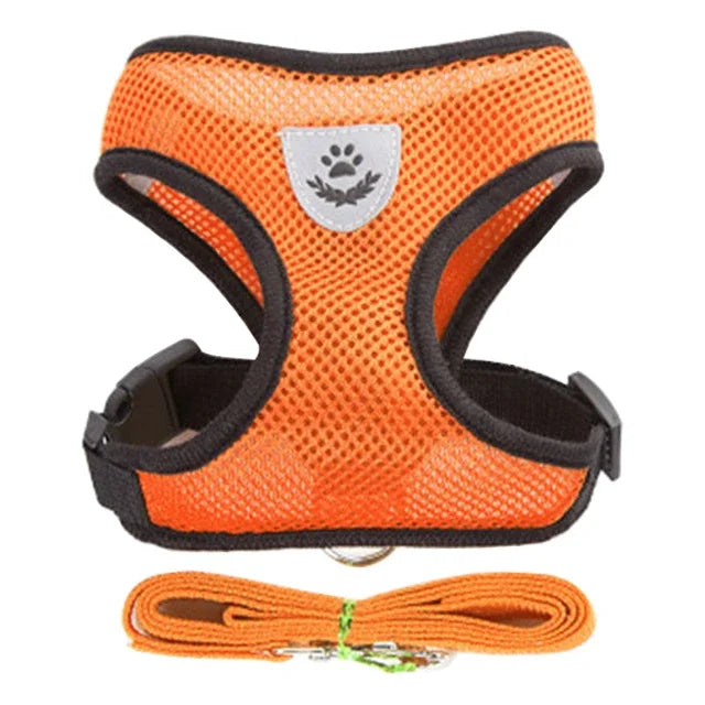 Harnais réglable respirante avec laisse pour chats et Chiots