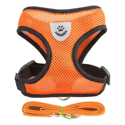 Harnais réglable respirante avec laisse pour chats et Chiots