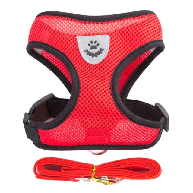 Harnais réglable respirante avec laisse pour chats et Chiots