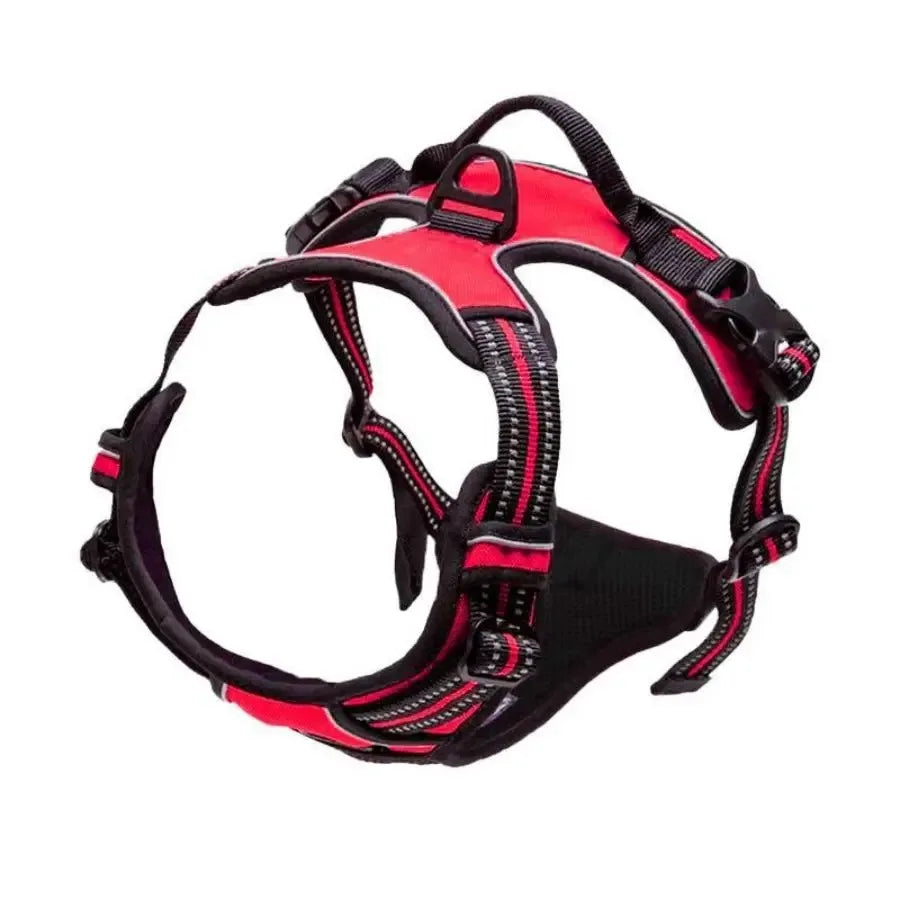 Harnais pour Chiens
