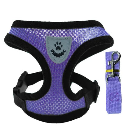 Harnais réglable respirante avec laisse pour chats et Chiots