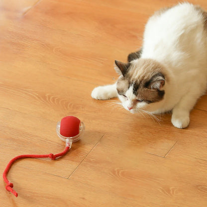 Balle interactive intelligente pour chat