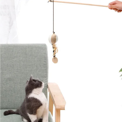 Jouet Plume pour Chaton