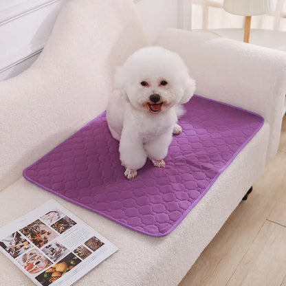Tapis absorbant pour chiens et chats