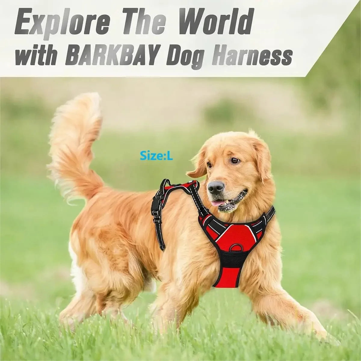 Harnais pour Chiens