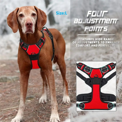 Harnais pour Chiens