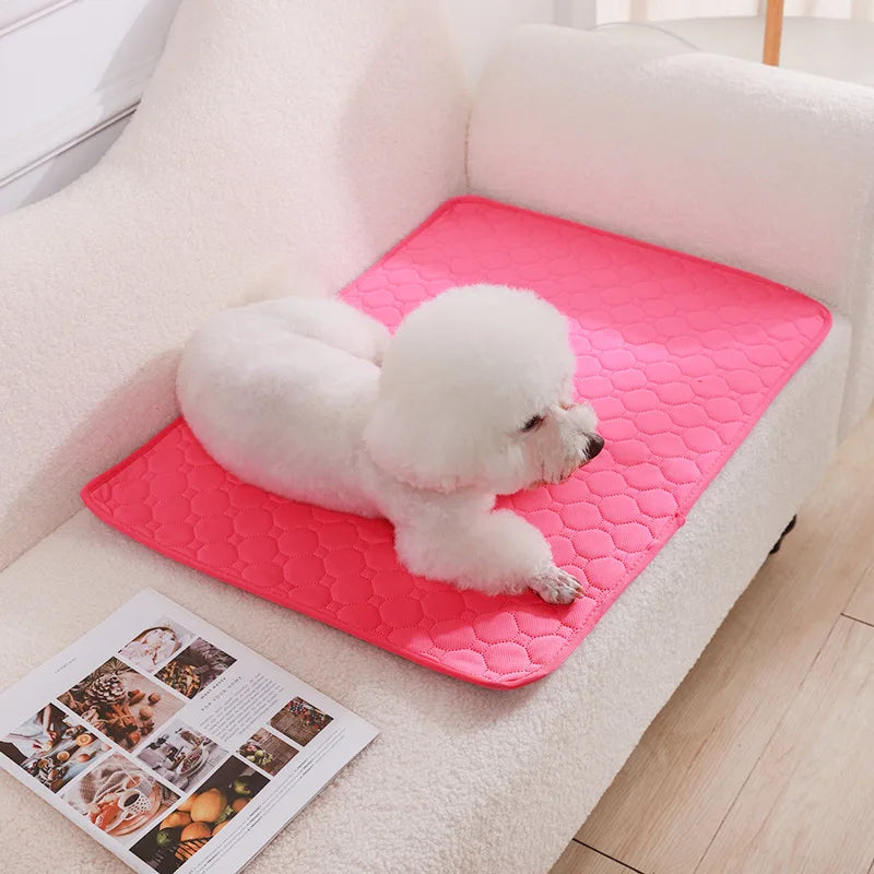 Tapis absorbant pour chiens et chats