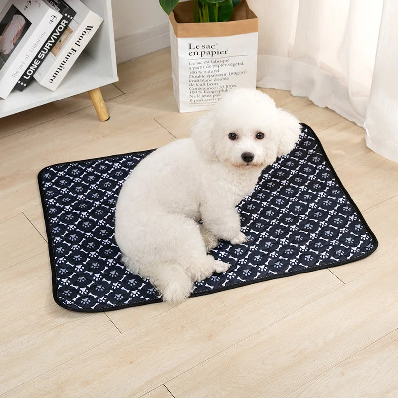 Tapis absorbant pour chiens et chats