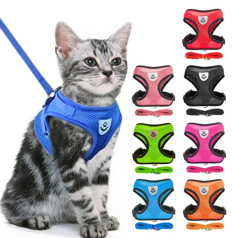 Harnais réglable respirante avec laisse pour chats et Chiots