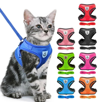 Harnais réglable respirante avec laisse pour chats et Chiots