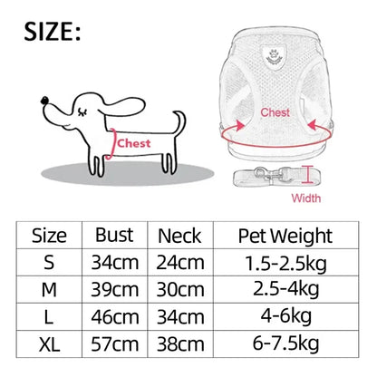 Harnais réglable respirante avec laisse pour chats et Chiots