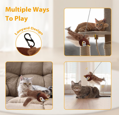 Oiseau interactif rechargeable pour chat