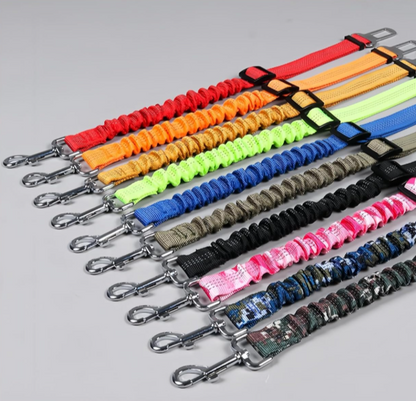 Ceinture de Sécurité pour Chien en Voiture