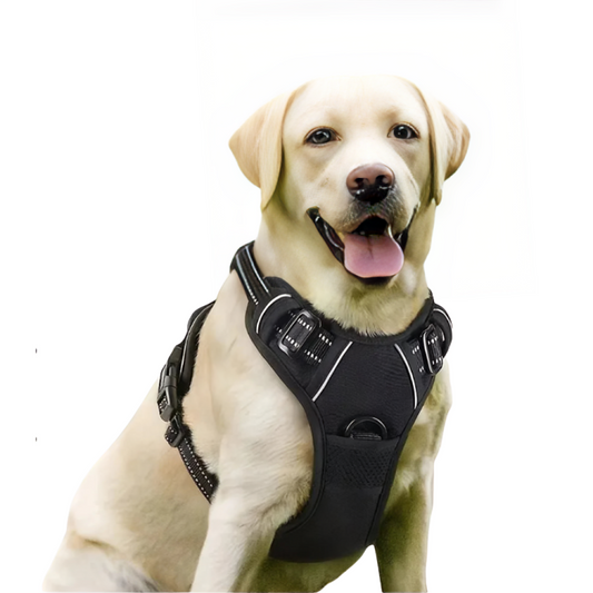 Harnais pour Chiens