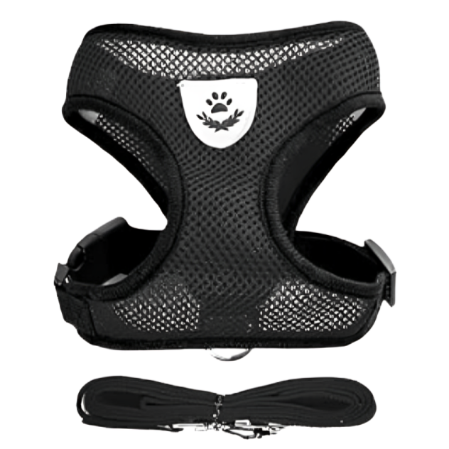 Harnais réglable respirante avec laisse pour chats et Chiots