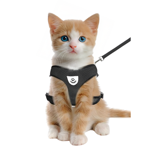 Harnais réglable respirante avec laisse pour chats et Chiots