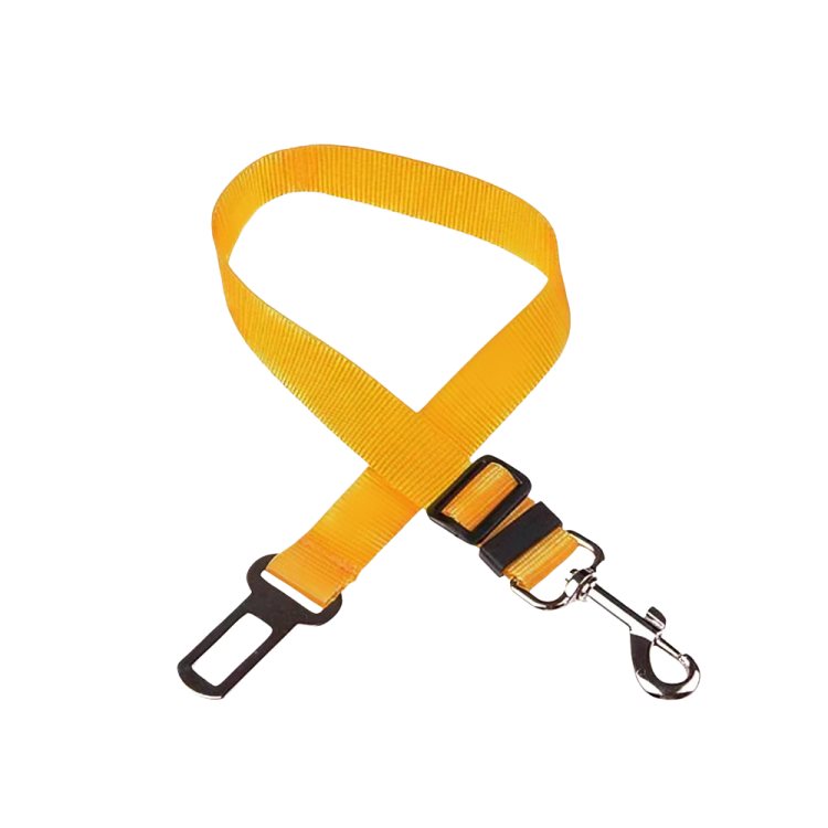 Ceinture de Sécurité pour Chien en Voiture