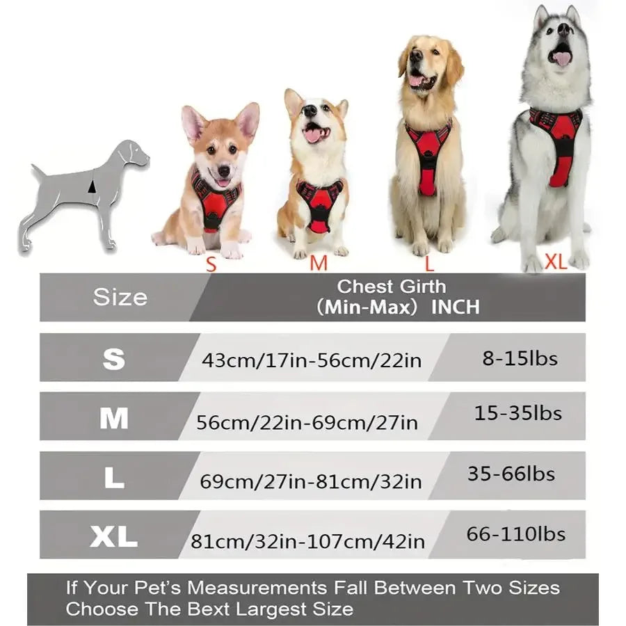 Harnais pour Chiens