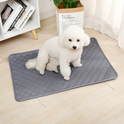 Tapis absorbant pour chiens et chats