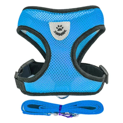 Harnais réglable respirante avec laisse pour chats et Chiots