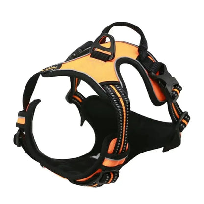 Harnais pour Chiens