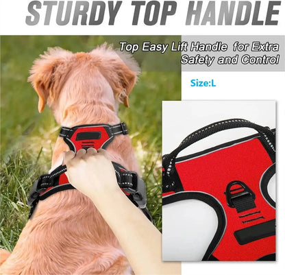 Harnais pour Chiens
