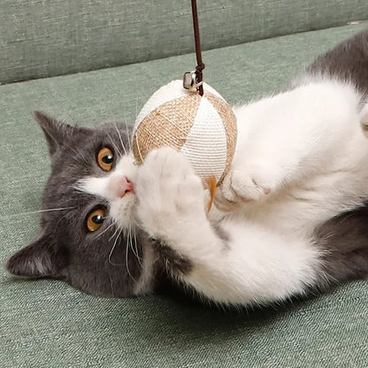 Jouet Plume pour Chaton