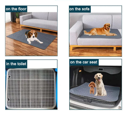 Tapis absorbant pour chiens et chats