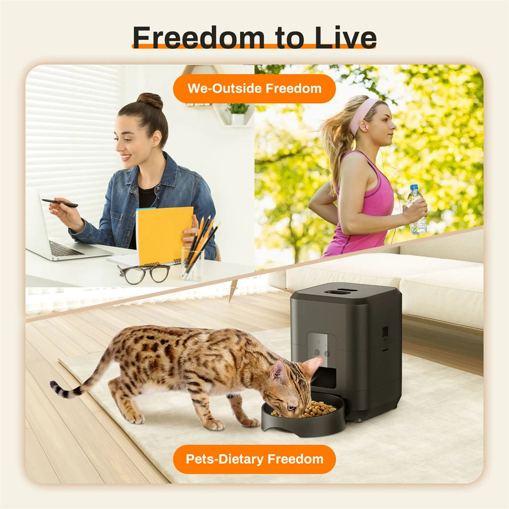 Distributeur automatique Wi-Fi intelligent de nourriture pour chats et chiens