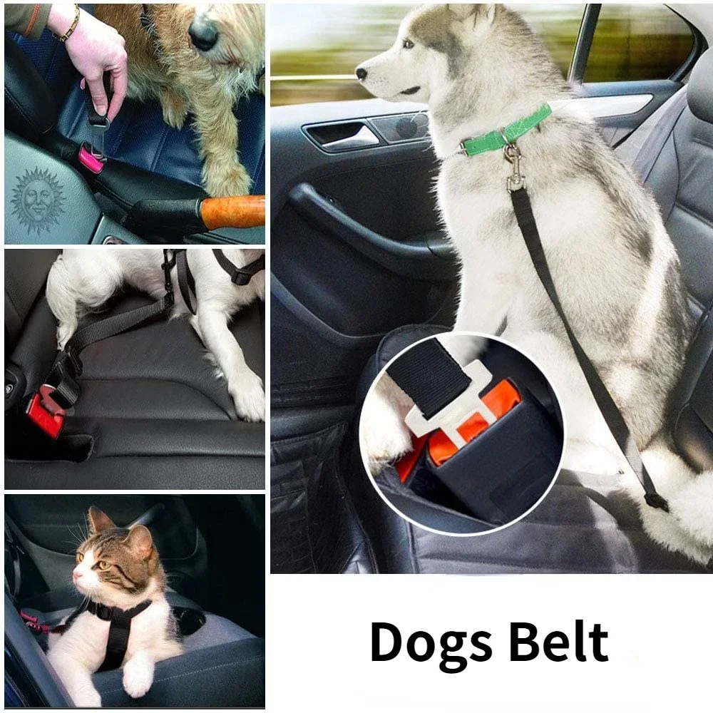 Ceinture de Sécurité pour Chien en Voiture
