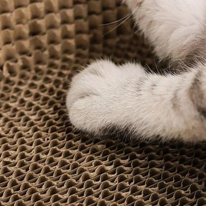 Griffoir pour Chat Protection des Meubles